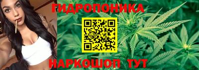 прущие крисы Кунгур