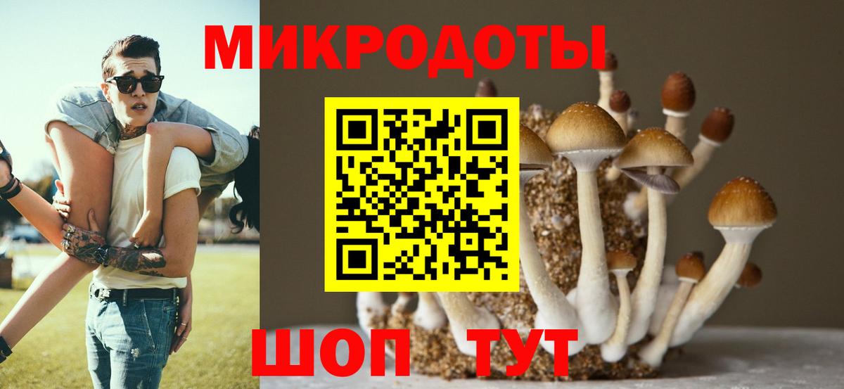 Псилоцибиновые грибы Magic Shrooms  Псилоцибиновые грибы прущие грибы  Вход с VPN  Кириши 